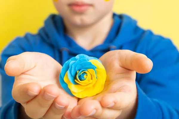 Rózsa Sárga Kék Színek Ukrán Zászló Kezében Egy Fiú — Stock Fotó