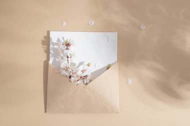 Bahar dalı ve bej arka planda gölgeli beyaz bahar çiçekleri olan Kraft zarfı..