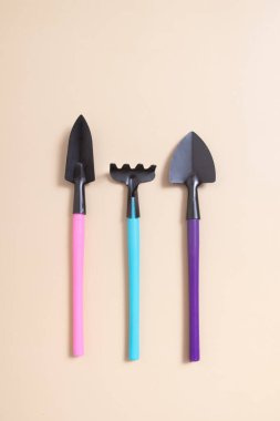 Bahçe işleri için kürek ve tırmıklar. Düz yat. Bahar ekimi kavramı.