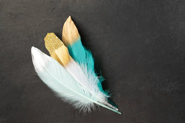 Penas coloridas com decoração dourada em um fundo texturizado vintage escuro — Fotografia de Stock