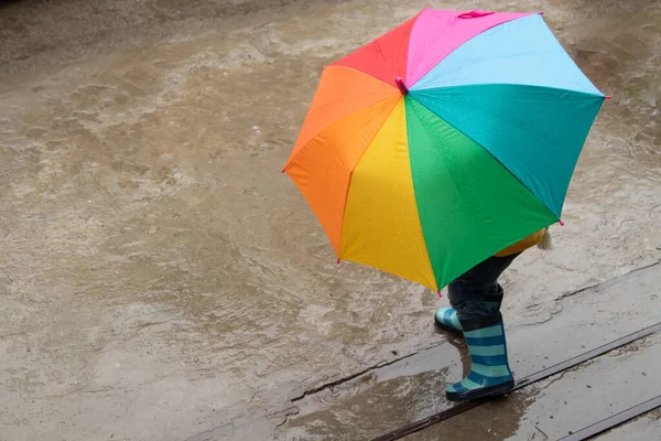 Трехлетняя Девочка Прячется Дождем Цветным Зонтиком — стоковое фото
