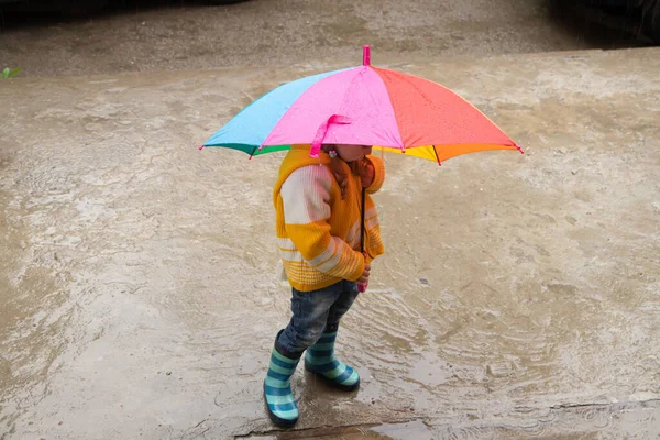 Трехлетняя Девочка Прячется Дождем Цветным Зонтиком — стоковое фото