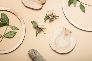 Doğal ürün sunumu veya tanıtımı için kuru çiçek ve yaprak içeren ahşap vitrin veya podyum üstü görünümü.