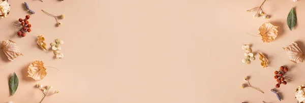 Sonbahar bayrağı. Pastel bej arka planda kurumuş yapraklar ve çiçeklerden oluşan desen. Sonbahar, sonbahar konsepti. Düz konum, üst görünüm, kopyalama alanı.