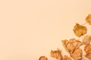 Sonbahar kompozisyonu. Pastel bej arka planda kurumuş yapraklardan yapılmış çerçeve. Sonbahar, sonbahar konsepti. Düz konum, üst görünüm, kopyalama alanı.