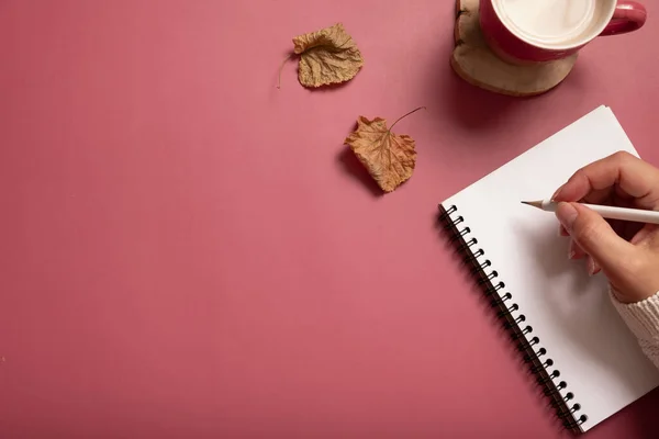 Table Desk Notepad Female Hand Wit Pencil Fall Leaves Burgundy — Stock fotografie