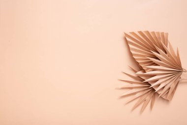 Decorative paper tropical palm dry leaves on beige background. Copy space.