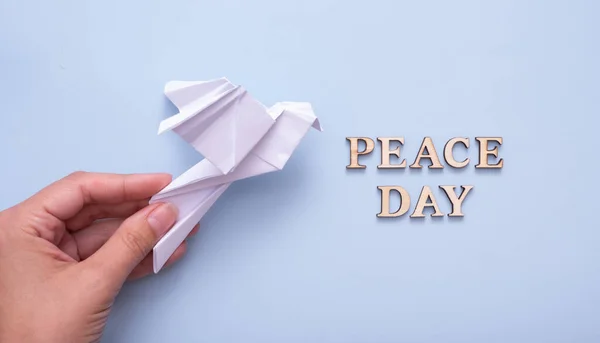Peace day text from wooden letters with white paper dove in female hand on blue background. International Peace day concept.