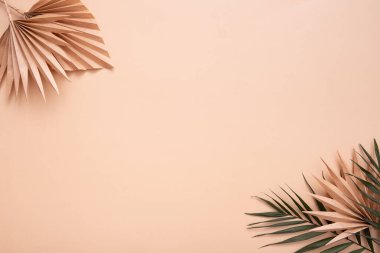 Decorative tropical palm dry leaves on beige background. Copy space.
