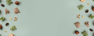 Autumn banner with pattern flat lay with from dried hydrangea flowers, roses and petals on green colored background, copy space