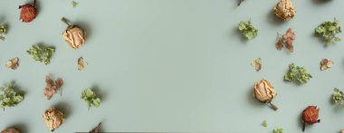 Banner with autumn pattern flat lay with from dried hydrangea flowers, roses and petals on pastel green colored background. Top view, copy space.