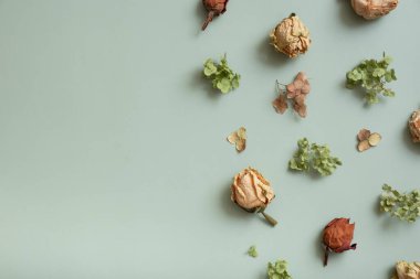 Autumn composition flat lay with pattern from dried hydrangea flowers, roses and petals on pastel green colored background. Top view, copy space.