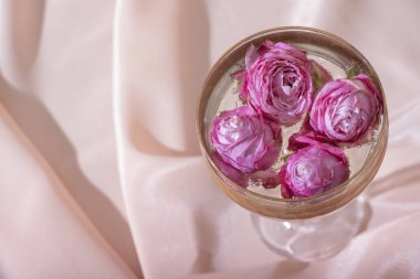 Top view bulbs in champagne around roses in the glass on folded textile background. Creative beautiful still life. 
