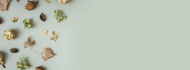 Autumn composition flat lay with pattern from dried hydrangea flowers, roses and petals on colored background.