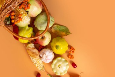 Top view autumn harvest basket with corn, apples, zucchini and peppers on a orange background.