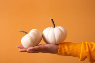 Turuncu arka planda süveter giymiş bir kadının elinde iki küçük dekoratif balkabağı.