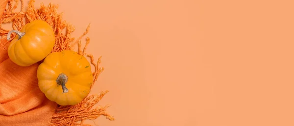 Autumn banner with two pumpkins fallen leaves on orange scarf top view. Autumn monochrome flat lay composition. Copy space.