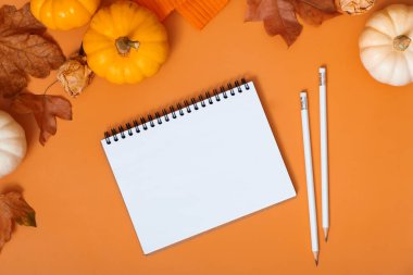 Balkabaklarının ve sonbahar yapraklarının yanındaki boş defter. Sonbahar teması modellemesi.