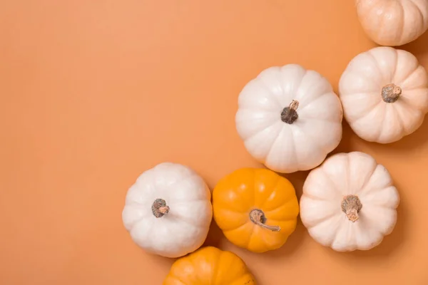 Grupo Abóboras Decorativas Vista Superior Sobre Fundo Laranja Outono Flat — Fotografia de Stock