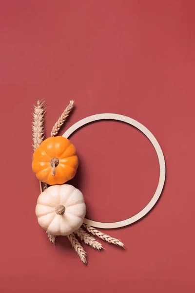 Abóboras Decorativas Moldura Madeira Para Texto Outono Com Tema Branco — Fotografia de Stock