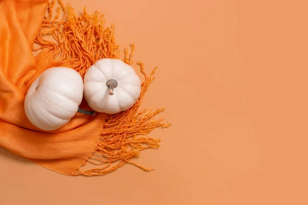 Jesień Płaski Leżak Kompozycja Białymi Dyniami Pomarańczowy Szalik Widok Góry — Zdjęcie stockowe