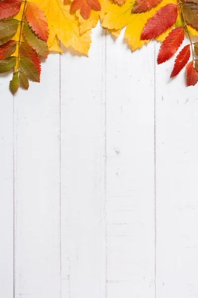 Hojas Multicolores Otoño Sobre Fondo Madera Copiar Espacio Formato Vertical — Foto de Stock