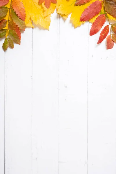 Hojas Multicolores Otoño Sobre Fondo Madera Copiar Espacio — Foto de Stock