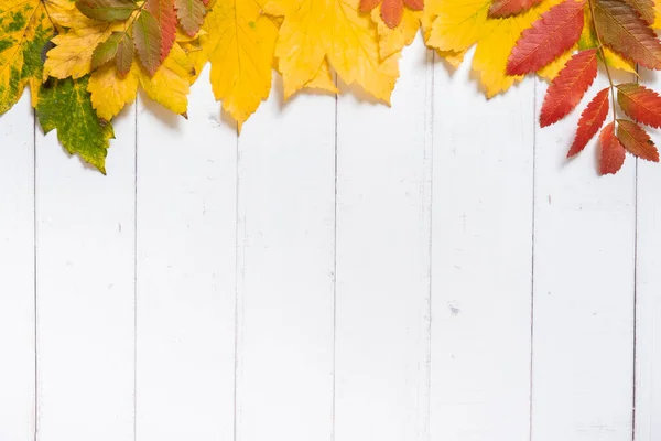 Hojas Multicolores Otoño Sobre Fondo Madera Copiar Espacio — Foto de Stock