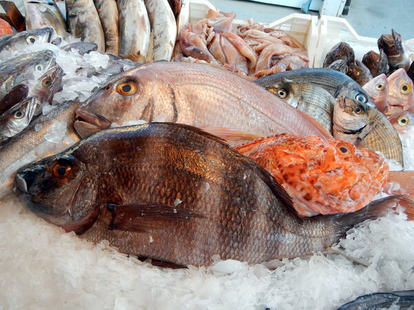 A colorful display of fresh fish