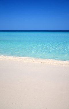 Karayip Denizi beach