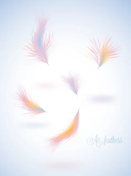 ベクトルの温かみのある色調の柔らかい羽のセット — ストックベクタ