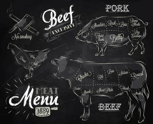 Menu pour viande steak vache porc poulet divisé en morceaux de viande — Image vectorielle