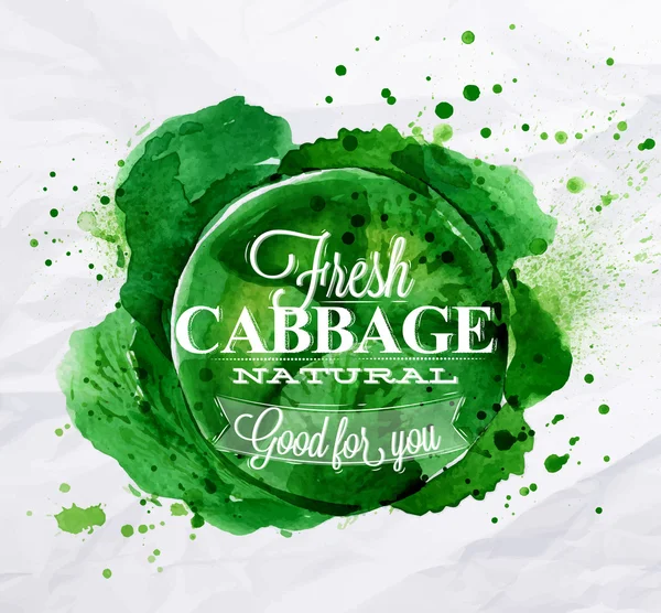 Cabbage watercolor poster — Stock Vector