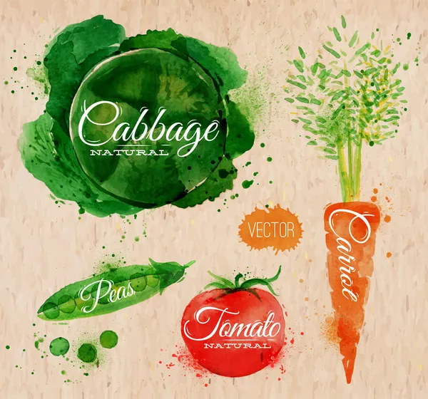 Vegetables watercolor cabbage, carrot, tomato, peas kraft — Stock Vector