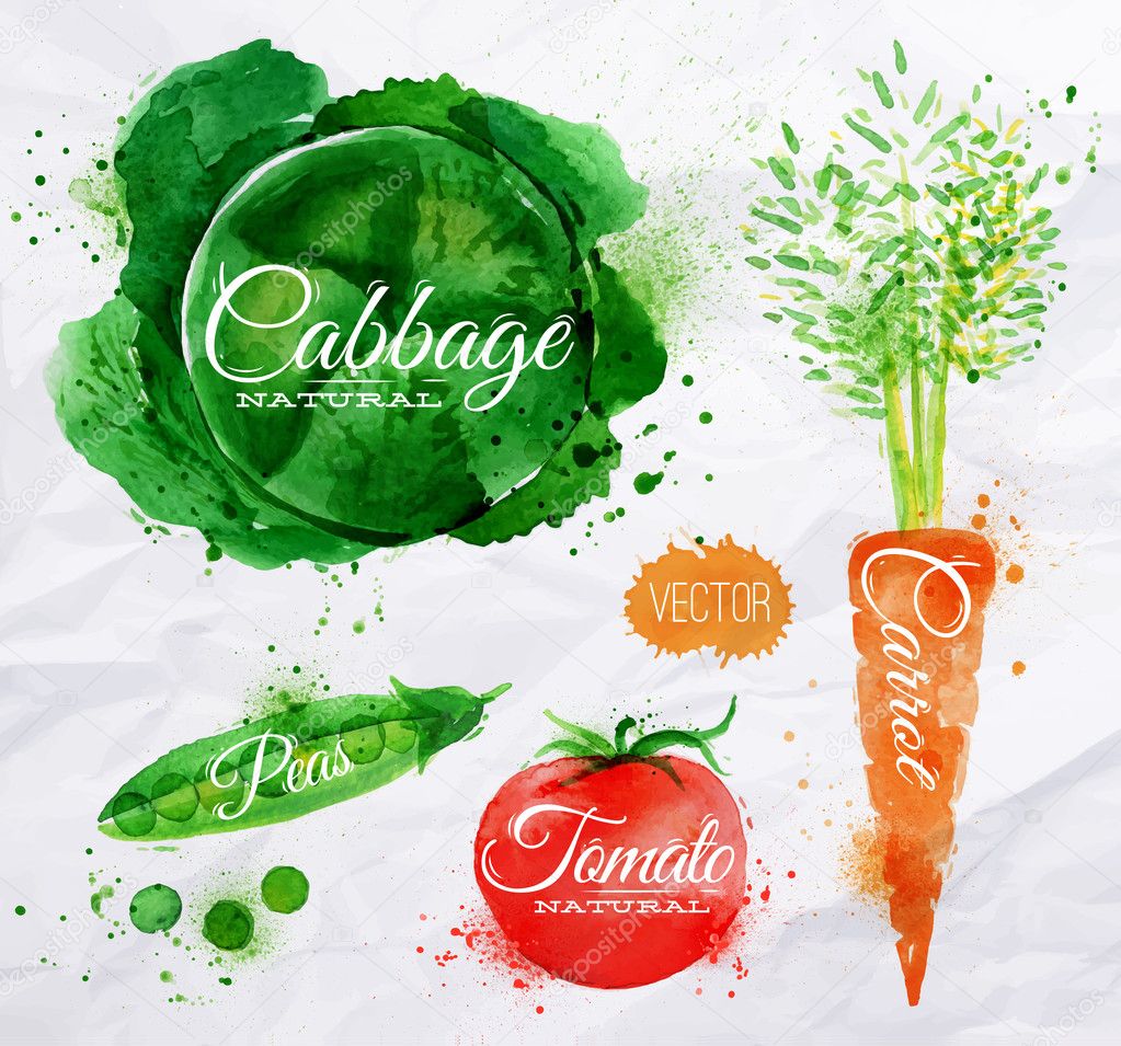 Vegetables watercolor cabbage, carrot, tomato, peas