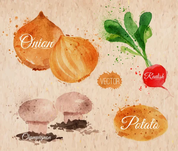 Verduras acuarela rábanos, cebollas, patatas, champiñones kraft — Vector de stock