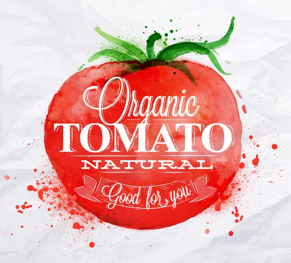 Cartel de acuarela de tomate — Vector de stock