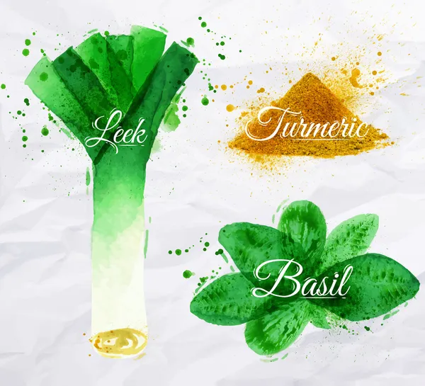 Spices herbs watercolor leeks, basil, turmeric — Stock Vector