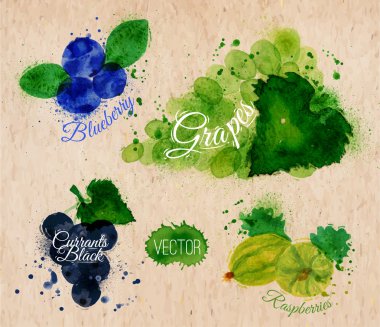 meyve sulu boya yaban mersini, üzüm, siyah kuş üzümü, ahududu kraft