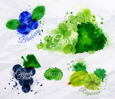 meyve sulu boya yaban mersini, üzüm, siyah kuş üzümü, ahududu