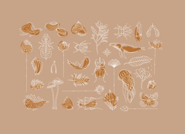 Bej arka planda Art Deco flora ve Fauna koleksiyonu çizimi
