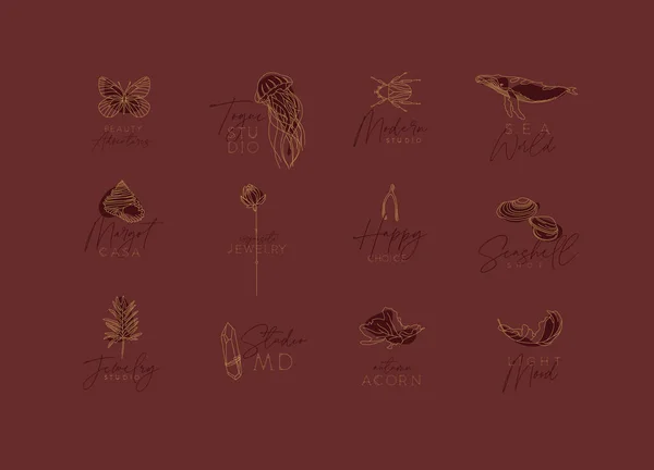 Flora Fauna Etiquetas Art Deco Con Dibujo Letras Sobre Fondo — Vector de stock