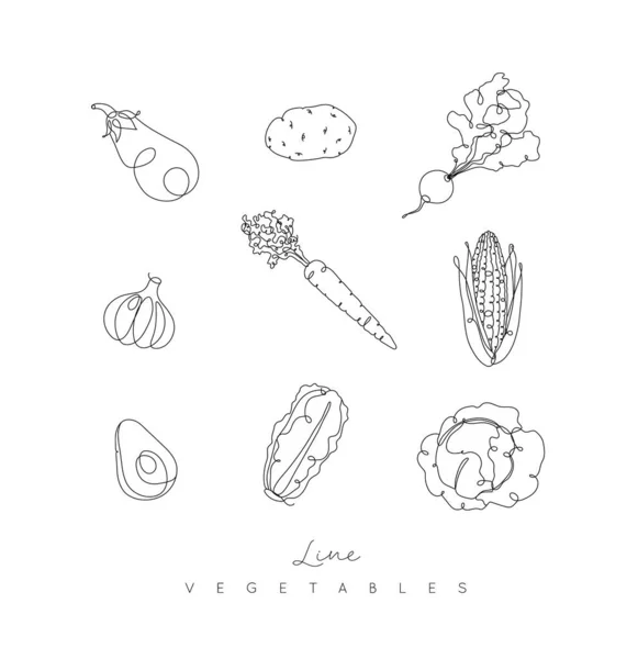 野菜のアイコンナス ジャガイモ ニンニク トウモロコシ アボカド キャベツをペン手描きで白い背景にラインスタイルを描く — ストックベクタ