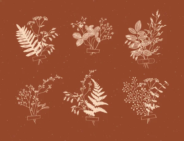 Branches Feuilles Sont Recueillies Dans Bouquet Avec Dessin Autocollant Couleur — Image vectorielle