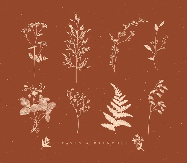 Set Leaves Branches Floral Style Drawing Beige Color Brown Background — Stock Vector
