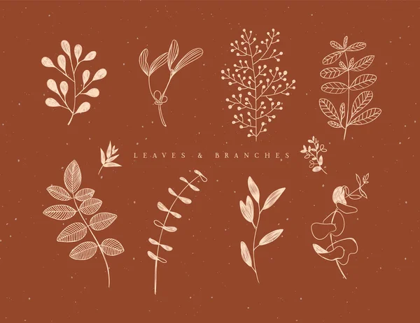 Set Graphic Leaves Branches Floral Style Drawing Beige Color Brown — Stock Vector
