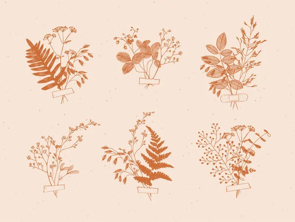 分枝和叶子被收集成一束花 并贴上米色背景的芥末色标签 — 图库矢量图片