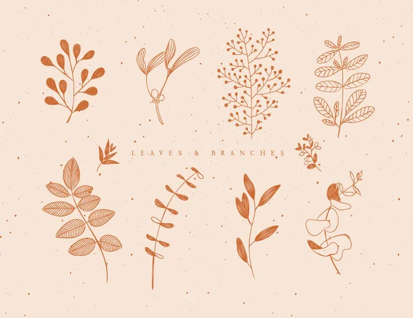 Conjunto Hojas Gráficas Ramas Estilo Floral Dibujo Mostaza Beige Sobre — Vector de stock