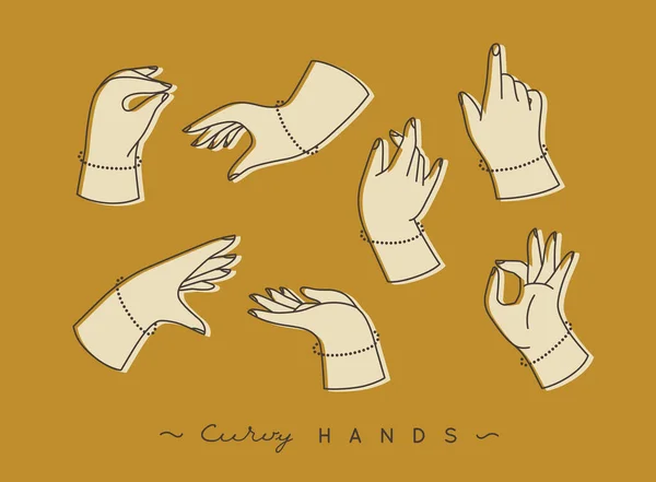 Set Curvy Hands Fingers Icons Different Positions Drawing Beige Color — Vetor de Stock