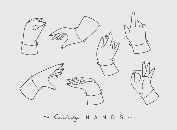 Set Curvy Hands Fingers Icons Different Positions Drawing Grey Background — Stock Vector